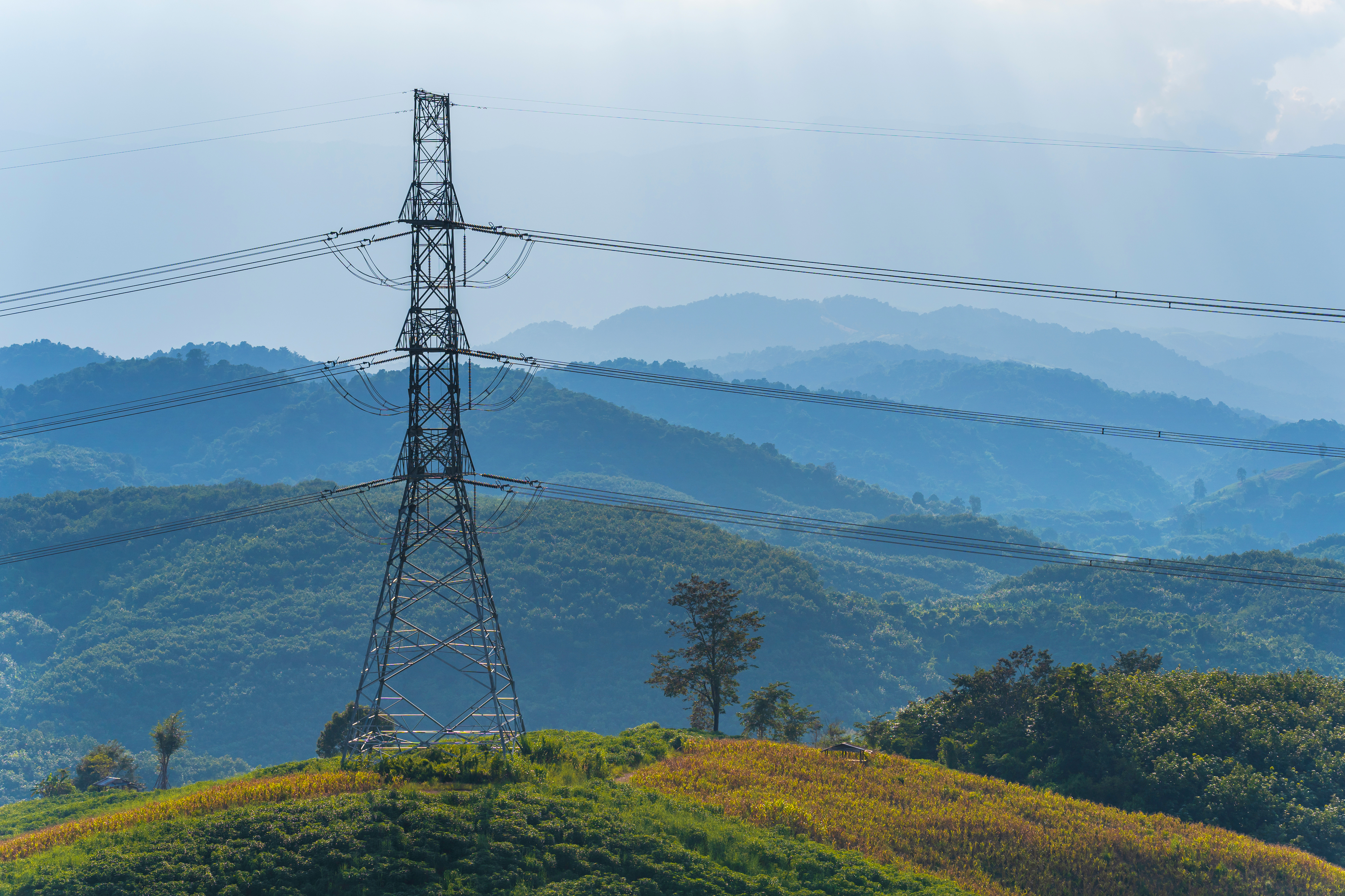 Power Lines
