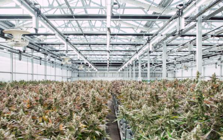 Cannabis Grow Facility